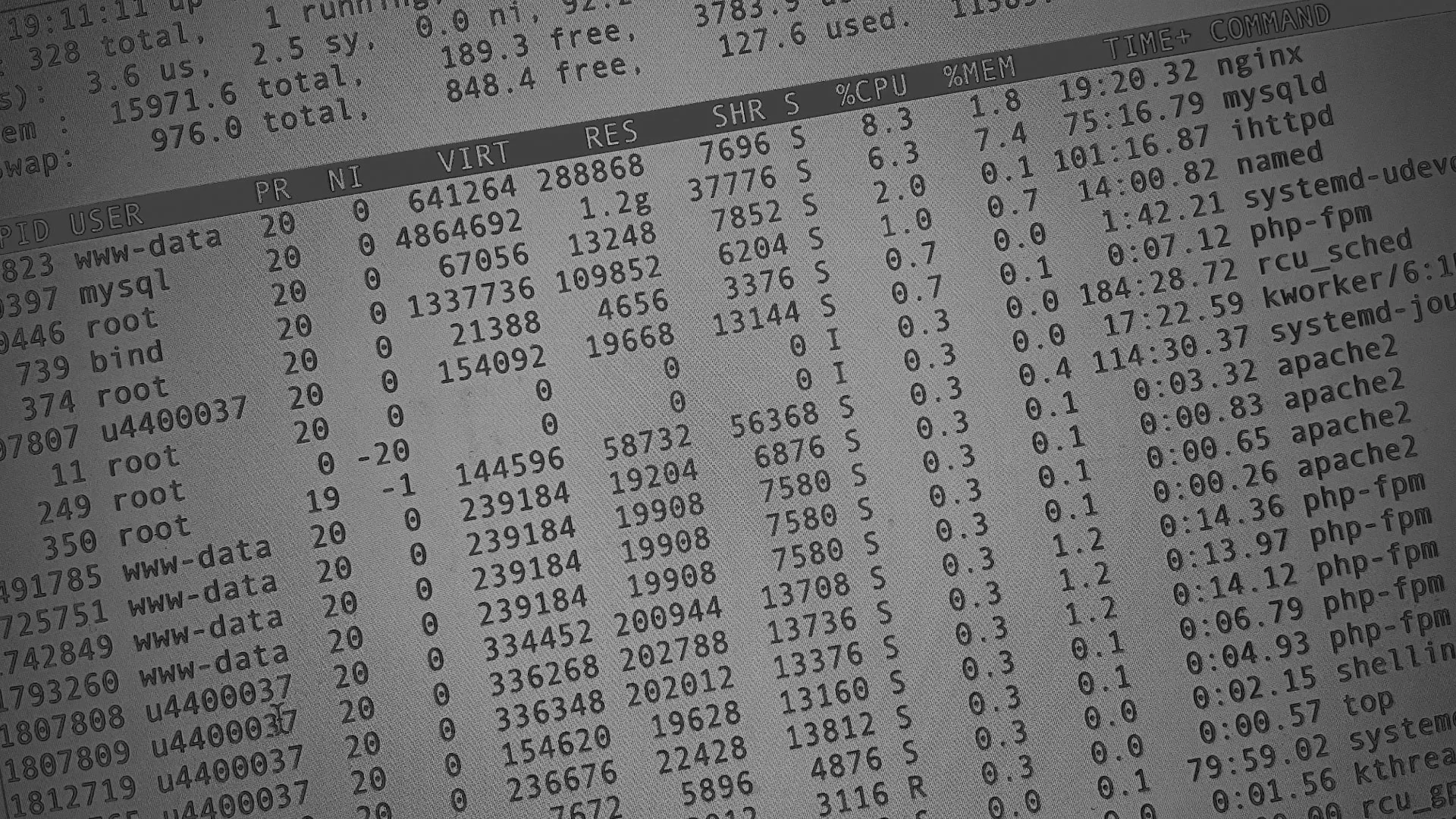 Настройка сервера в Шарыпово